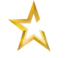 the gold star